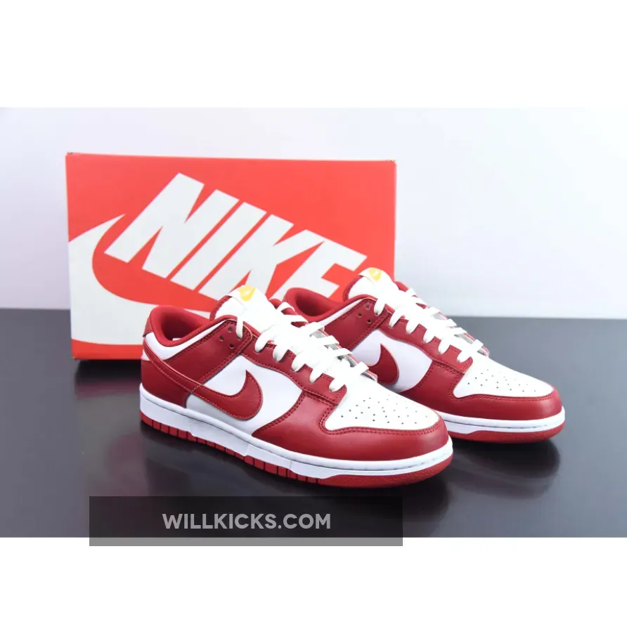 Nike Dunk Low Gym Red WMNS DD1391-602 / Different Types Of Nike Shoes