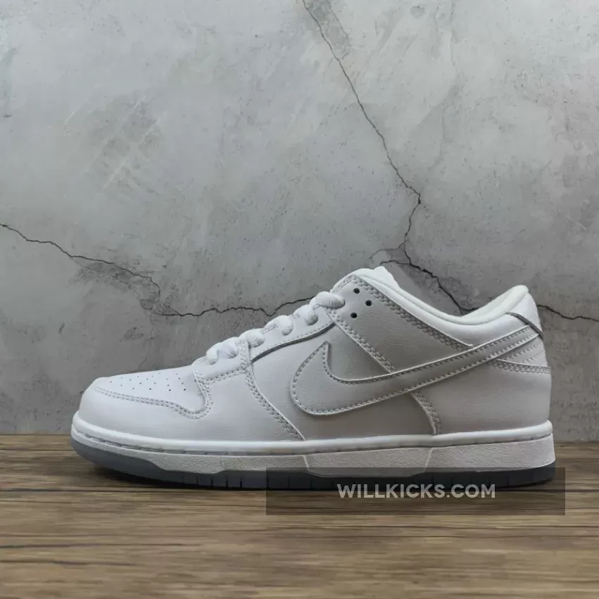 Nike Dunk Low Pro White Ice | nike sb ice 304292-100