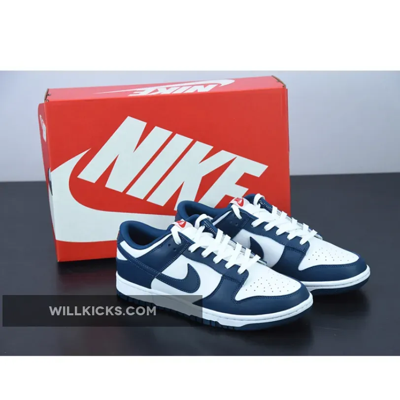 Nike Dunk Low Valerian Blue White DD1391-400 / valarian dunk