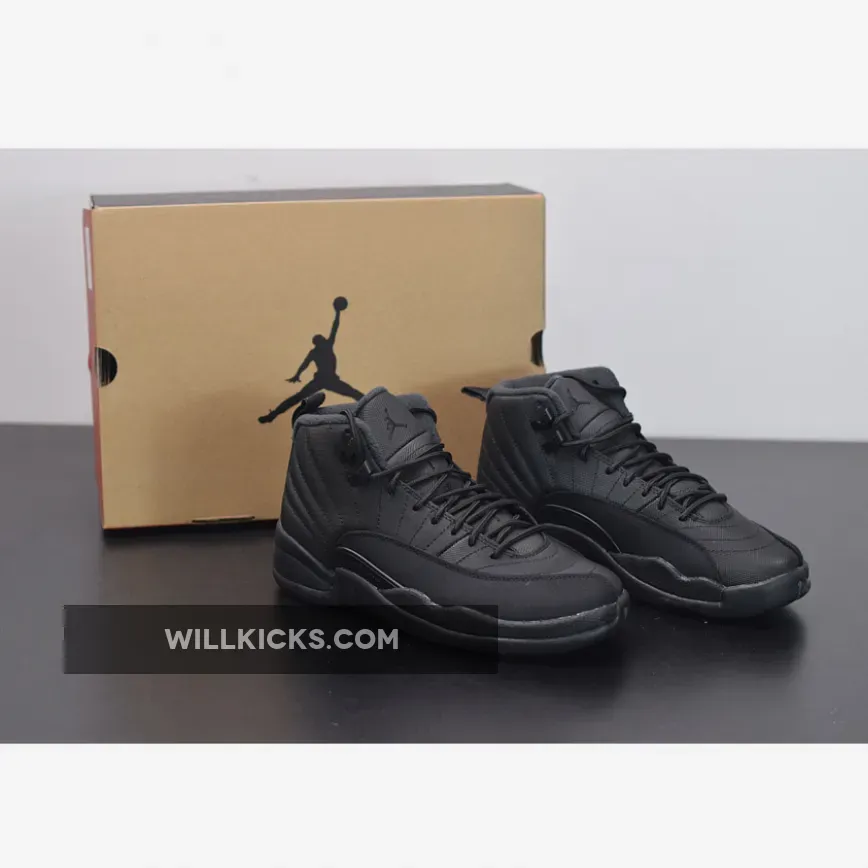 Air Jordan 12 'Winterized' Black/Black-Anthracite BQ6851-001 / jordan 12 winterized