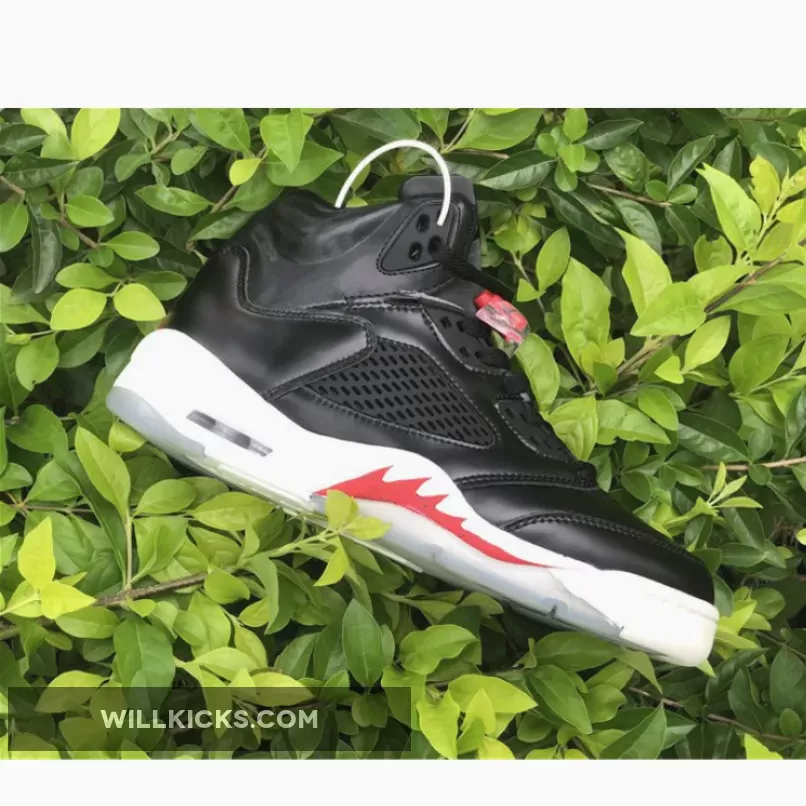 Air Jordan 5 Black/Muslin-Fire Red CT8480-001