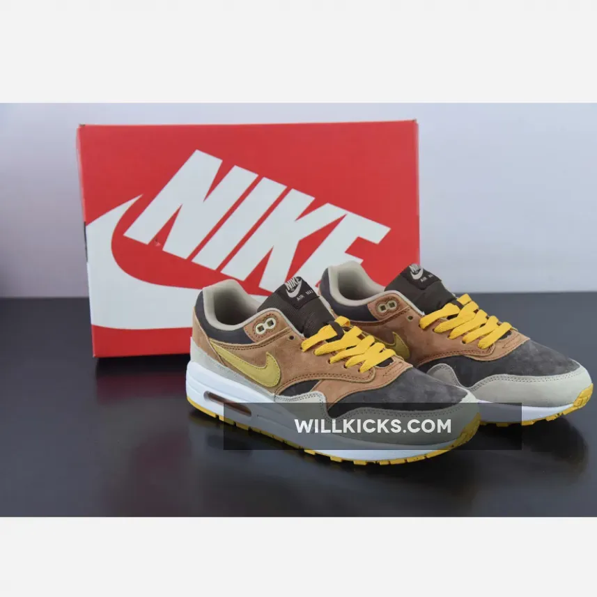 Nike Air Max 1 Ugly Duckling Pecan DZ0482-200, Nike Pecan