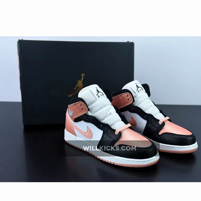 Air Jordan 1 Mid GS Light Madder Root DM9077-108